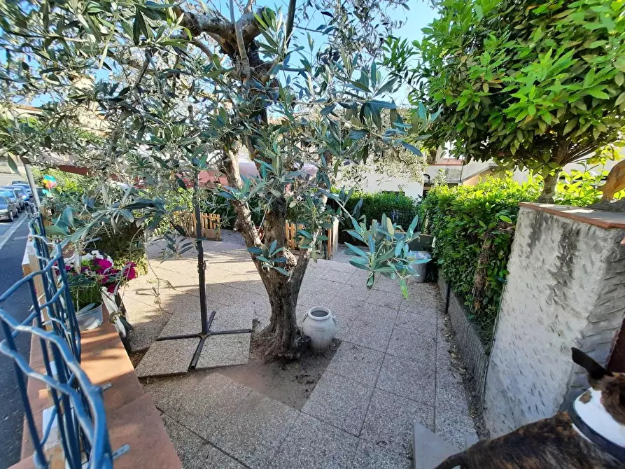 Immagine 26 di Appartamento in vendita  a Rosignano Marittimo