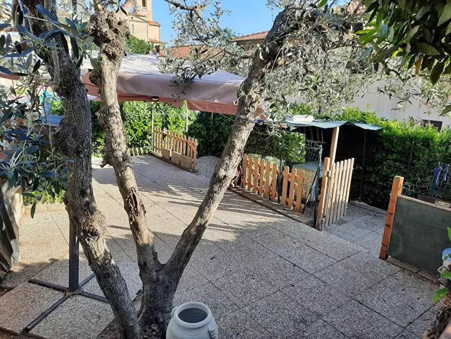 Immagine 27 di Appartamento in vendita  a Rosignano Marittimo