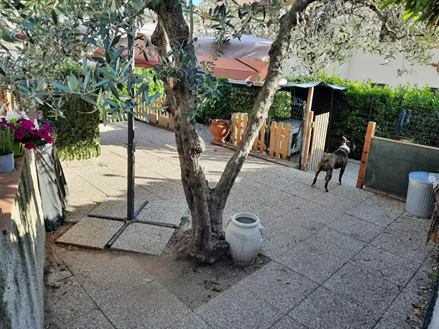 Immagine 28 di Appartamento in vendita  a Rosignano Marittimo