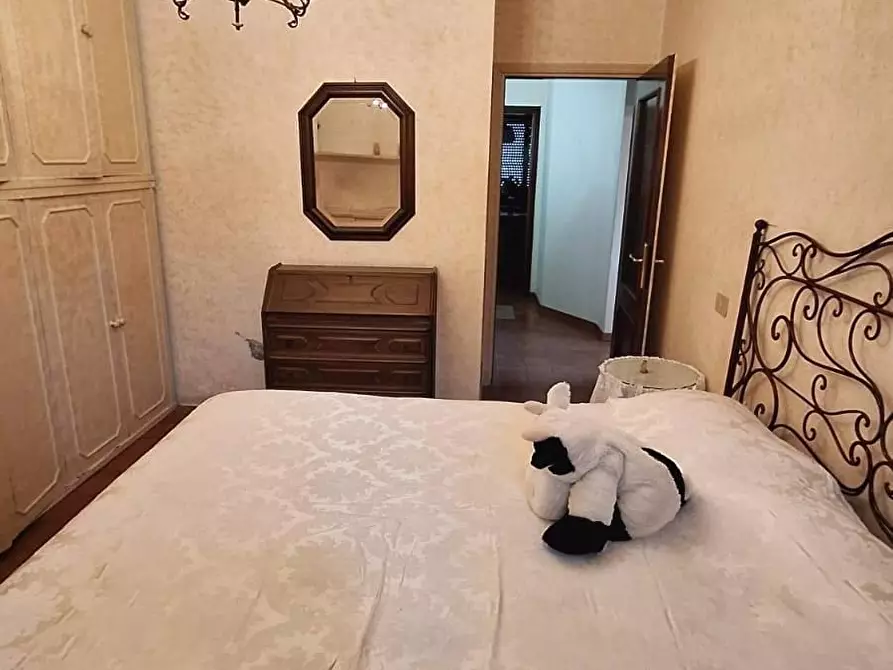 Immagine 7 di Appartamento in vendita  a Massa