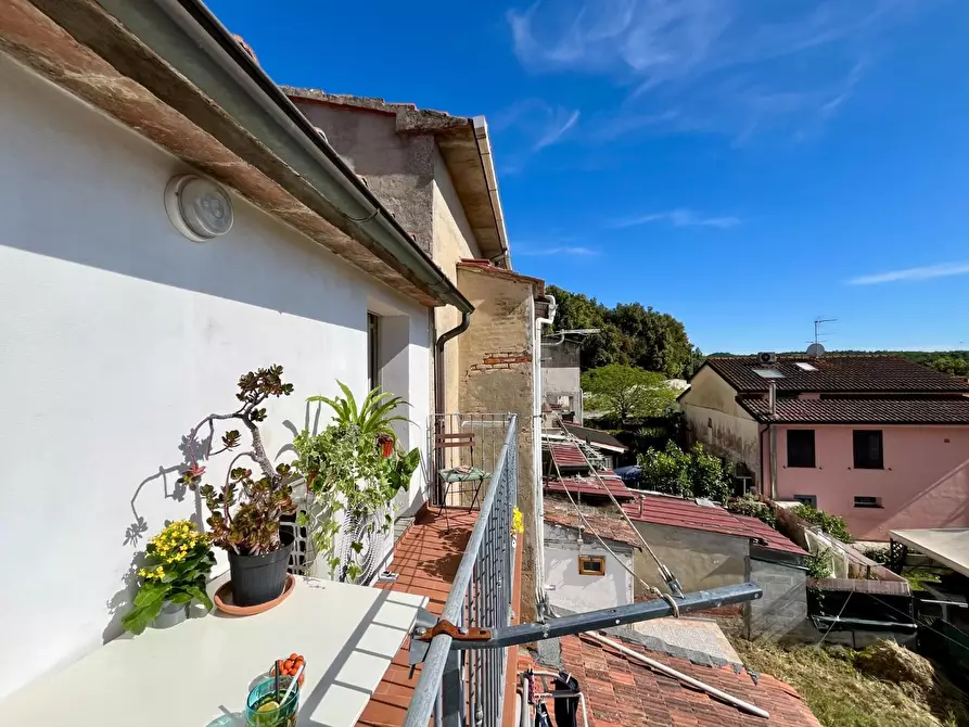 Immagine 30 di Appartamento in vendita  a Pontedera