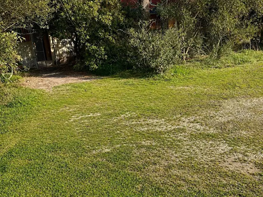 Immagine 13 di Casa bifamiliare in vendita  a Campiglia Marittima