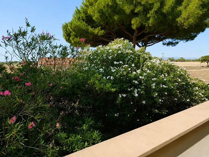 Immagine 14 di Casa bifamiliare in vendita  a Campiglia Marittima