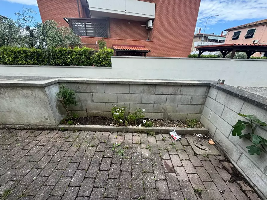 Immagine 26 di Terratetto in vendita  a Collesalvetti