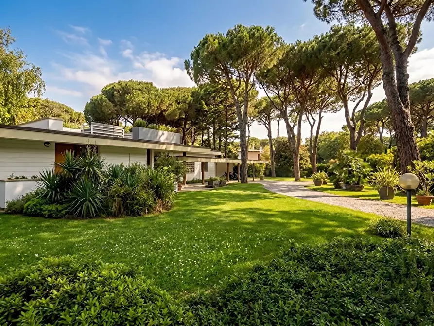 Immagine 4 di Villa in vendita  a Massa