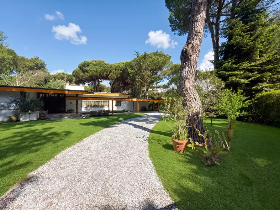 Immagine 7 di Villa in vendita  a Massa