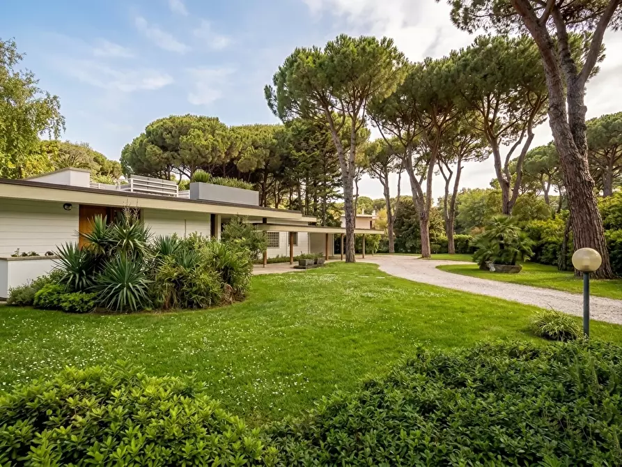 Immagine 5 di Villa in vendita  a Massa