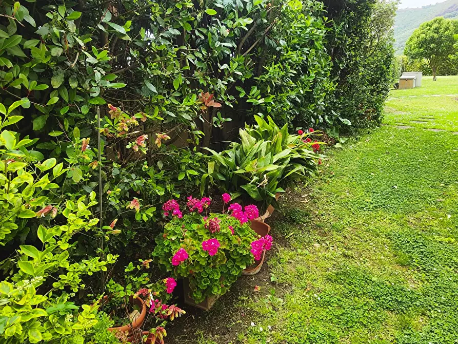 Immagine 3 di Casa bifamiliare in vendita  a San Giuliano Terme