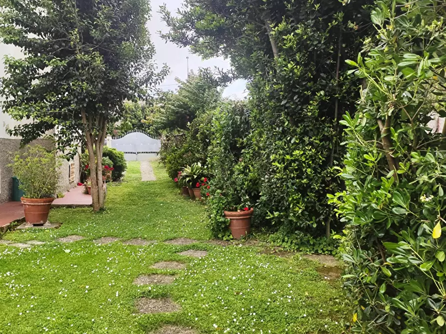 Immagine 6 di Casa bifamiliare in vendita  a San Giuliano Terme