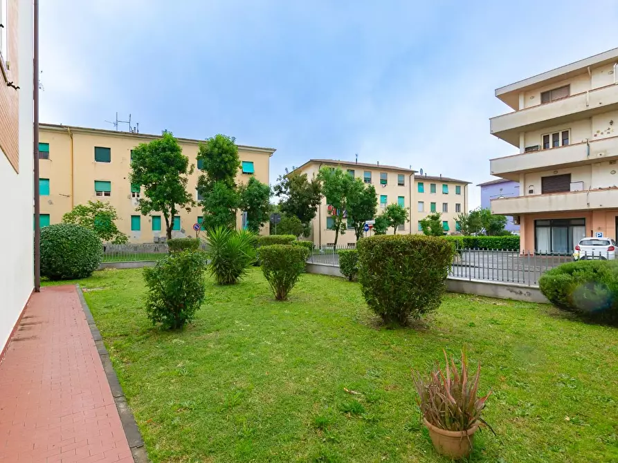 Immagine 31 di Appartamento in vendita  a Pontedera