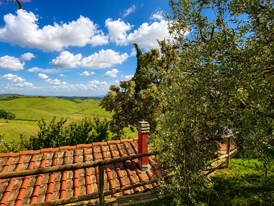 Immagine 39 di Villa in vendita  a Castelfiorentino