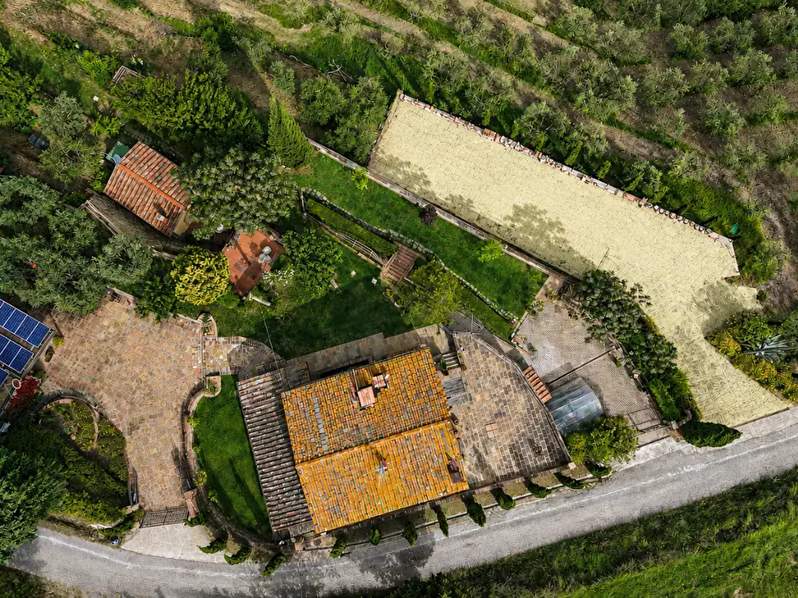 Immagine 46 di Villa in vendita  a Castelfiorentino