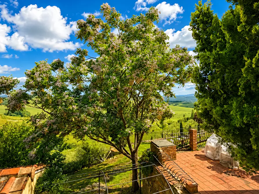 Immagine 40 di Villa in vendita  a Castelfiorentino