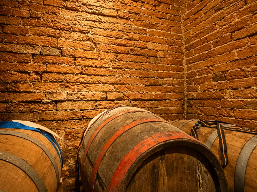Immagine 52 di Villa in vendita  a Castelfiorentino