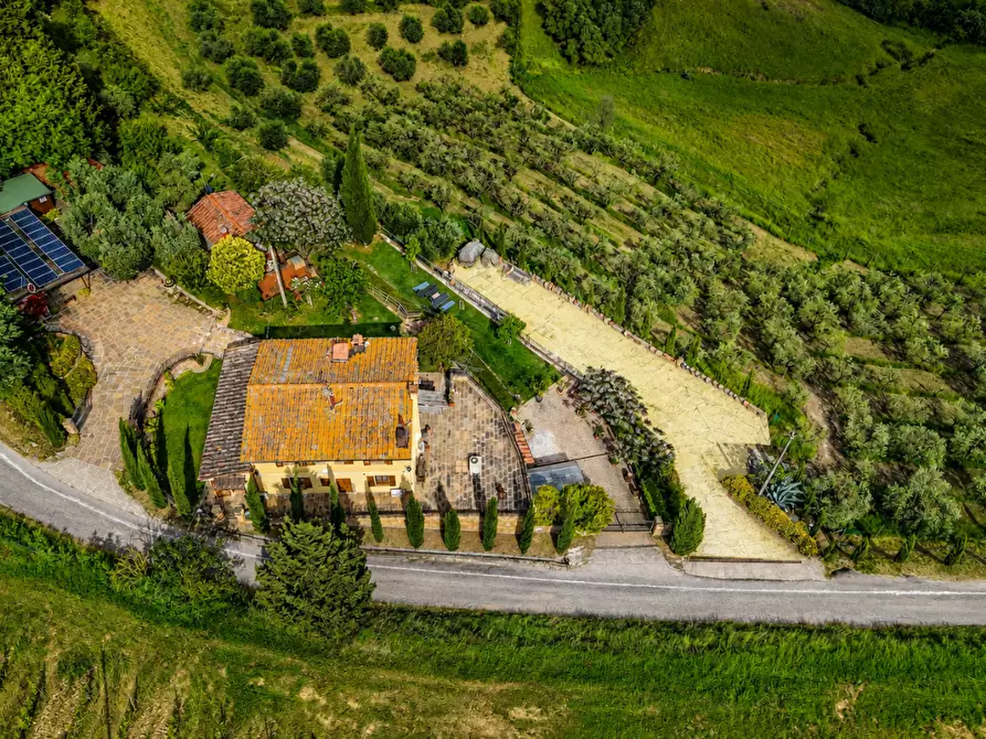 Immagine 48 di Villa in vendita  a Castelfiorentino