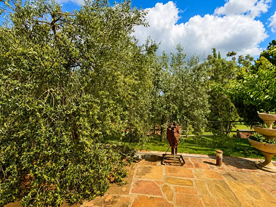 Immagine 38 di Villa in vendita  a Castelfiorentino