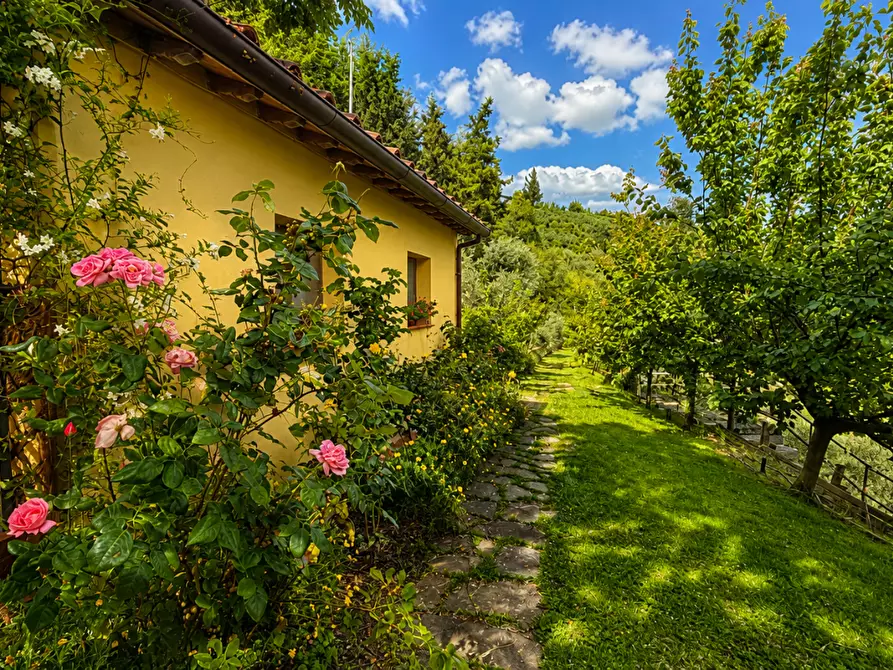 Immagine 43 di Villa in vendita  a Castelfiorentino