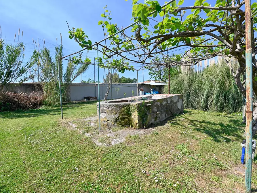Immagine 55 di Villa in vendita  a San Giuliano Terme