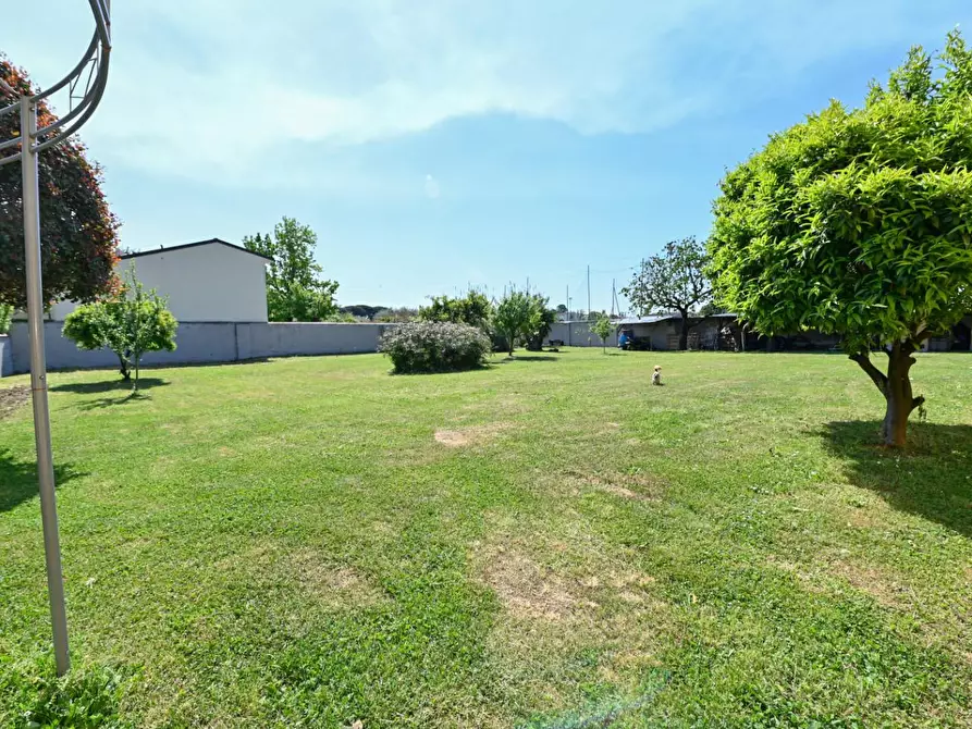 Immagine 51 di Villa in vendita  a San Giuliano Terme