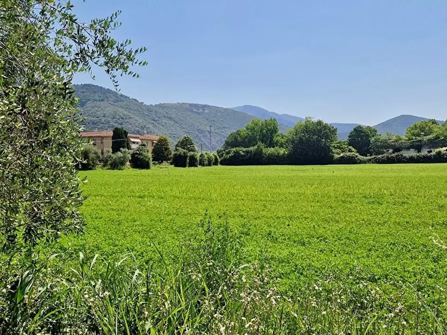 Immagine 27 di Casa bifamiliare in vendita  a San Giuliano Terme