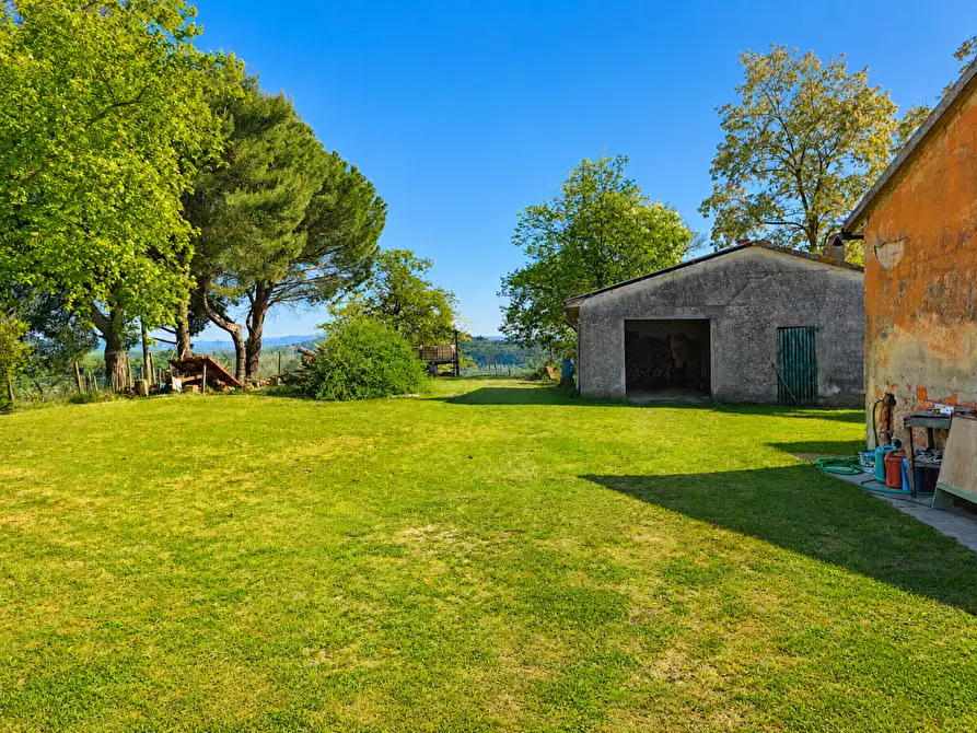 Immagine 16 di Casa indipendente in vendita  a Palaia