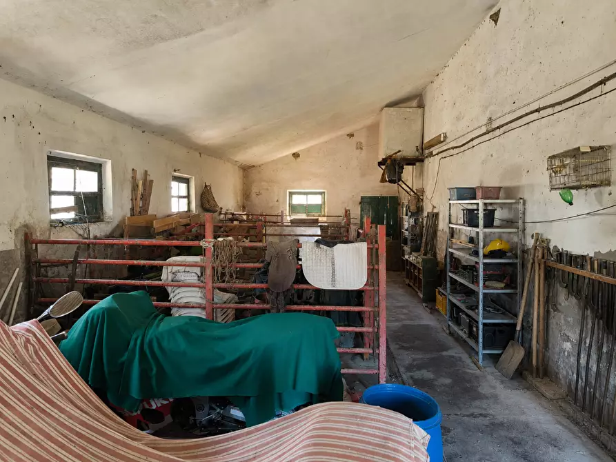 Immagine 20 di Casa indipendente in vendita  a Palaia