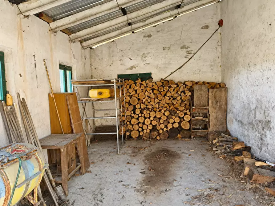Immagine 22 di Casa indipendente in vendita  a Palaia