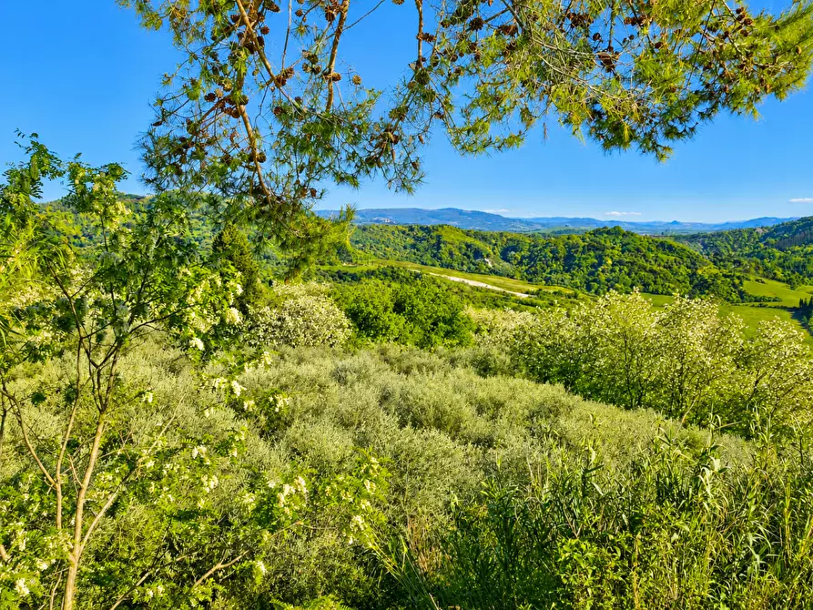 Immagine 4 di Casa indipendente in vendita  a Palaia