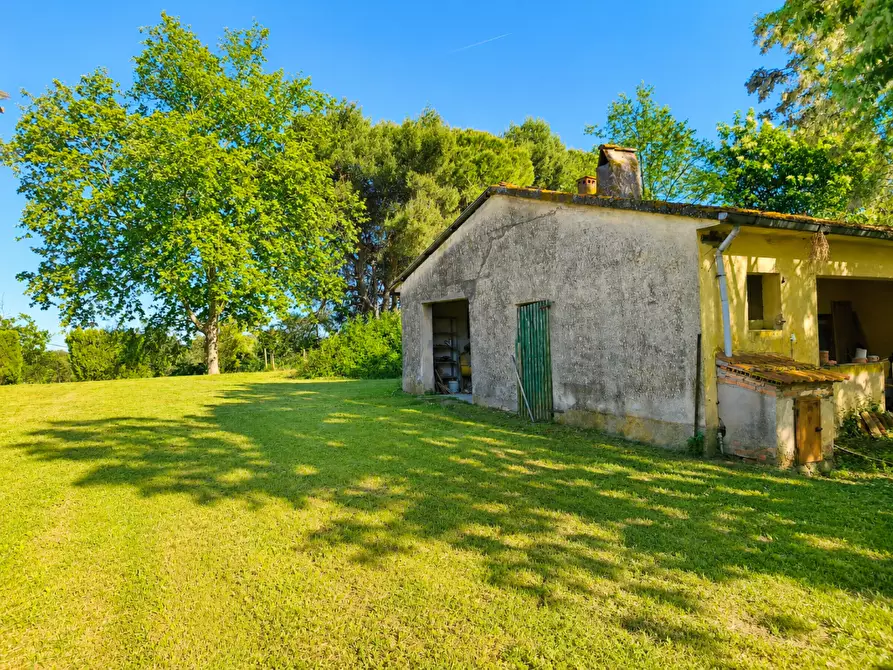 Immagine 10 di Casa indipendente in vendita  a Palaia