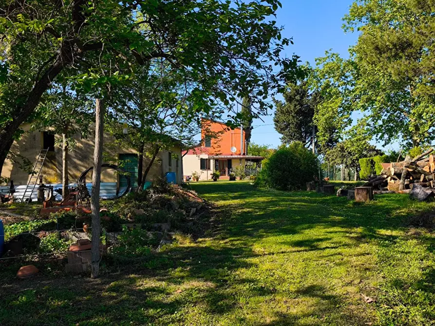 Immagine 18 di Casa indipendente in vendita  a Palaia
