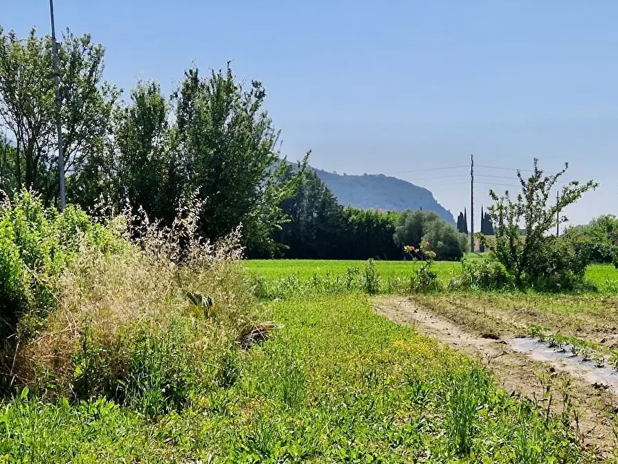 Immagine 19 di Casa bifamiliare in vendita  a San Giuliano Terme