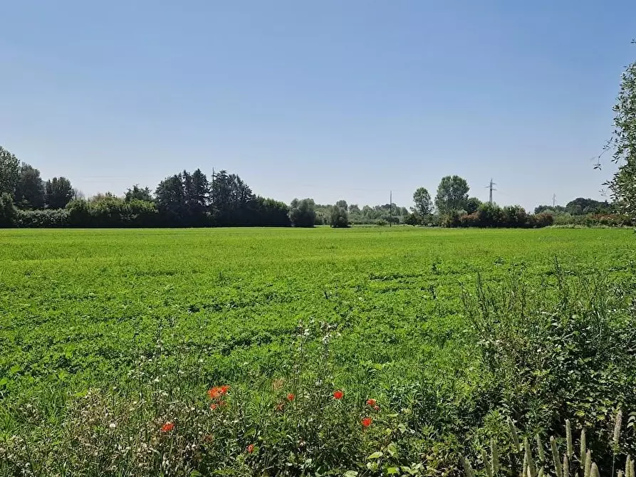 Immagine 26 di Casa bifamiliare in vendita  a San Giuliano Terme