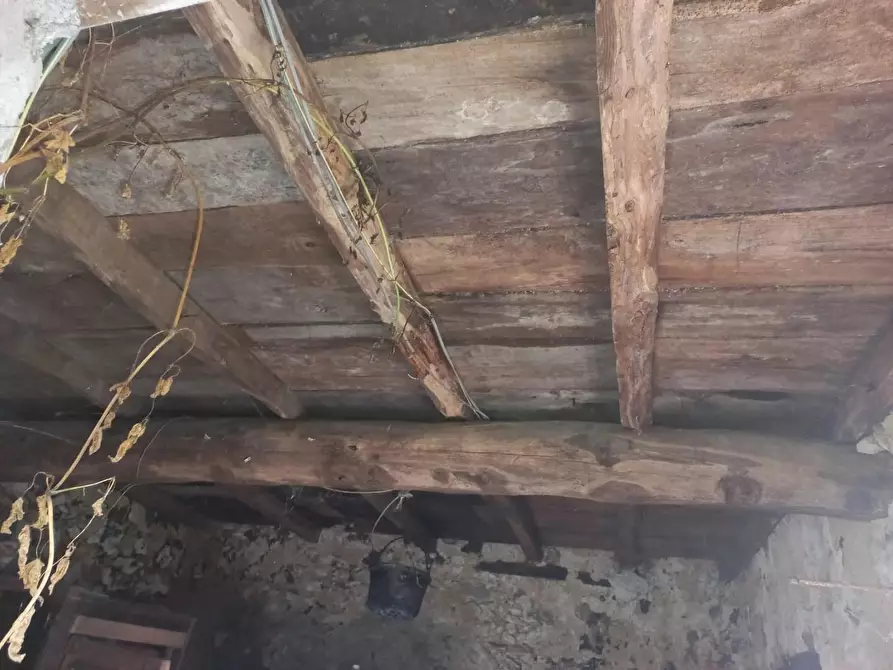 Immagine 7 di Rustico / casale in vendita  a Molazzana
