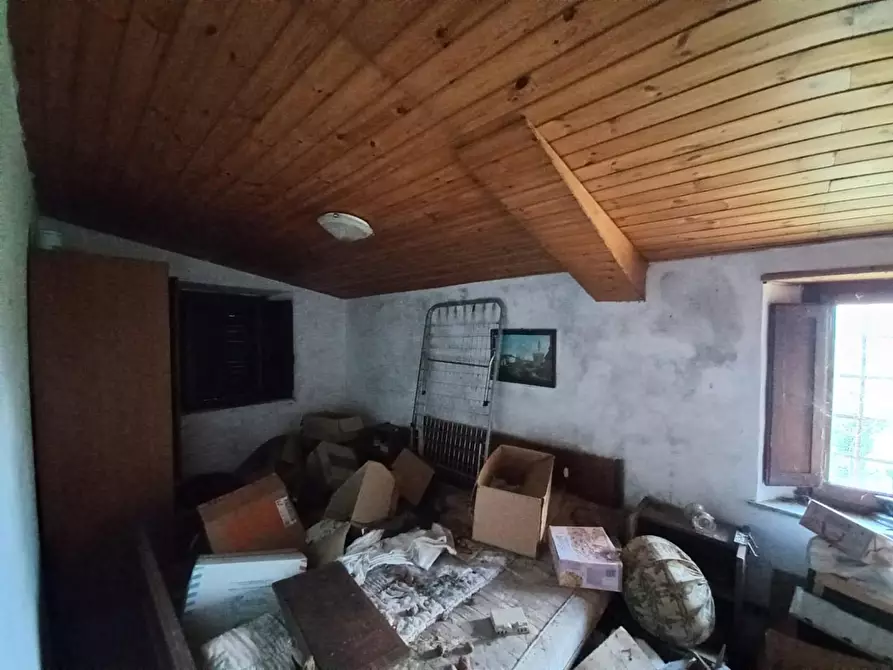 Immagine 11 di Rustico / casale in vendita  a Molazzana