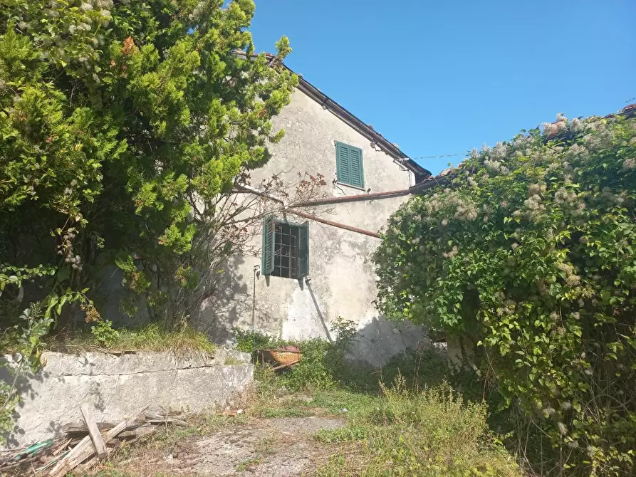 Immagine 4 di Rustico / casale in vendita  a Molazzana