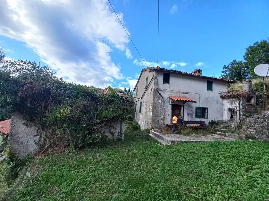 Immagine 5 di Rustico / casale in vendita  a Molazzana