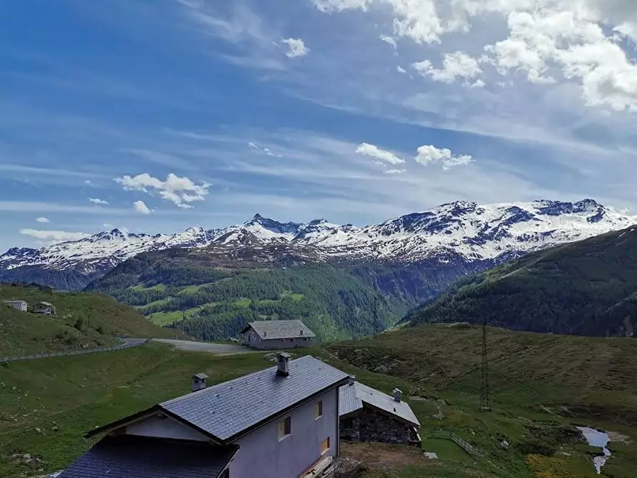 Immagine 2 di Garage in vendita  a Campodolcino
