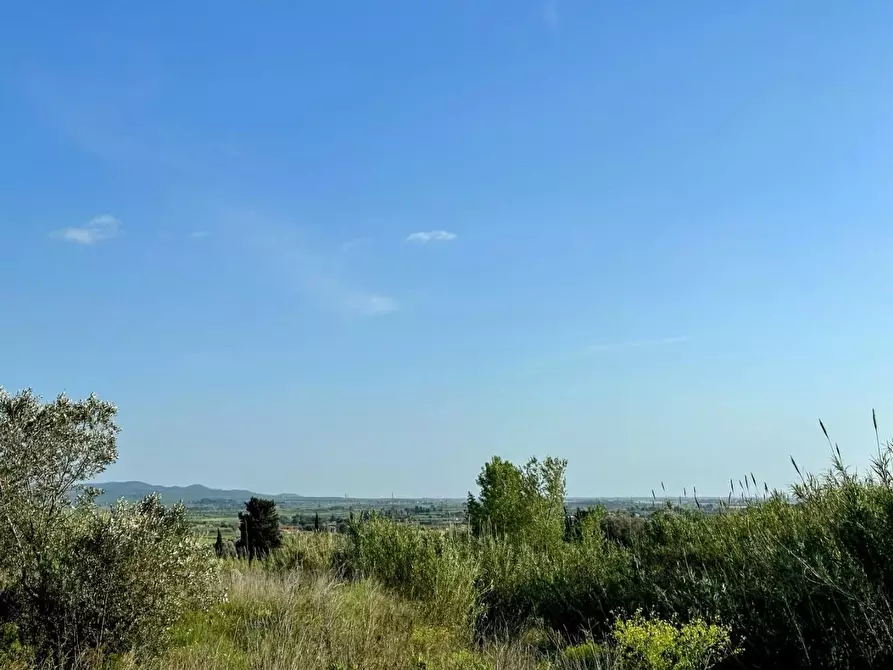 Immagine 2 di Appartamento in vendita  a Suvereto