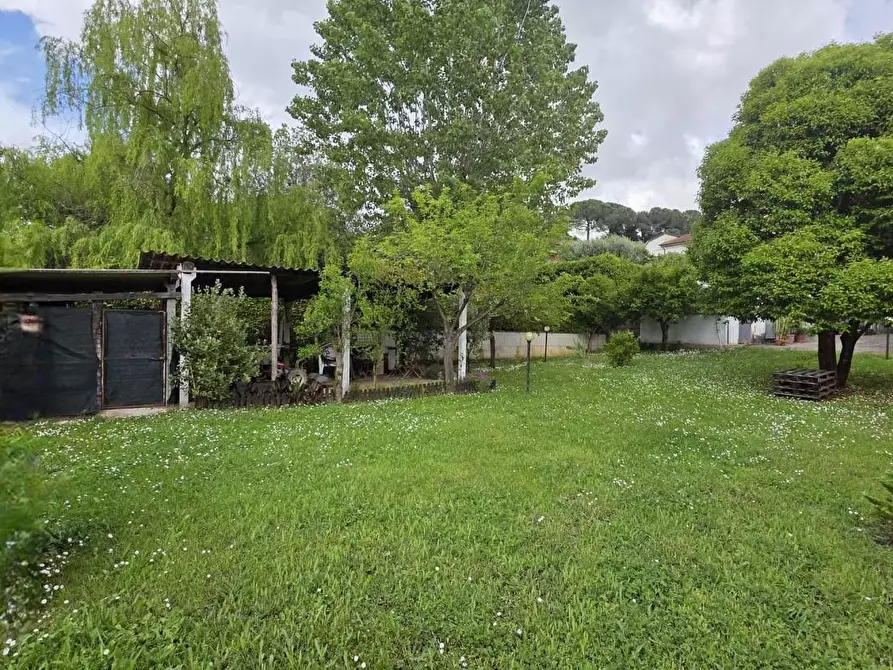 Immagine 17 di Terratetto in vendita  a Fucecchio