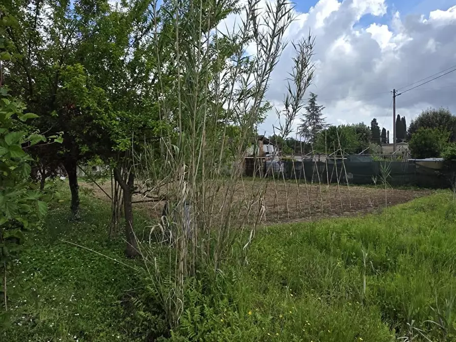 Immagine 18 di Terratetto in vendita  a Fucecchio