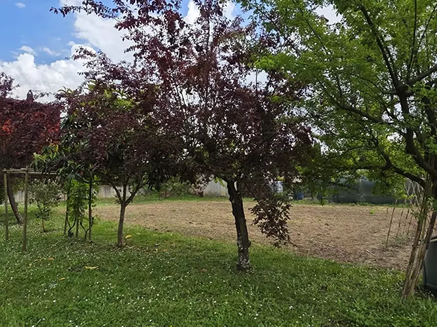 Immagine 20 di Terratetto in vendita  a Fucecchio
