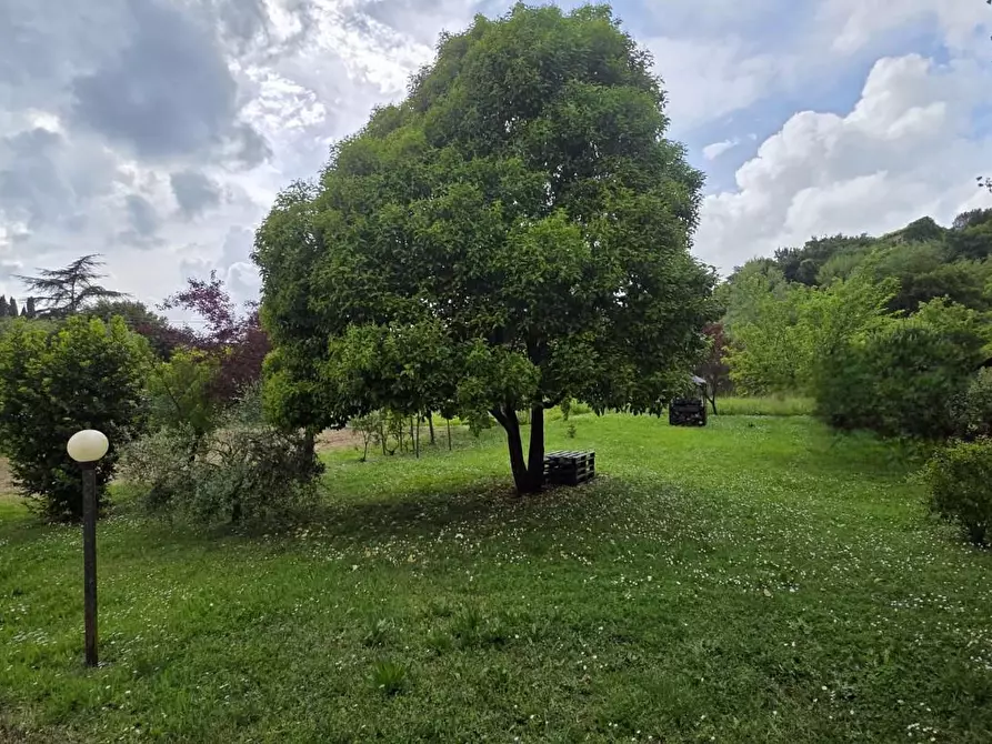 Immagine 16 di Terratetto in vendita  a Fucecchio