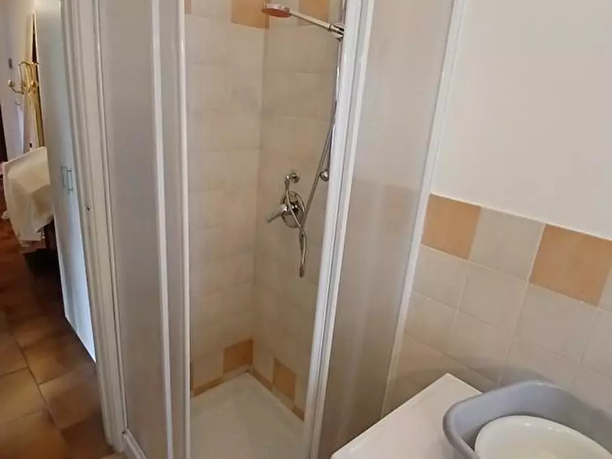 Immagine 28 di Appartamento in affitto  a Pisa