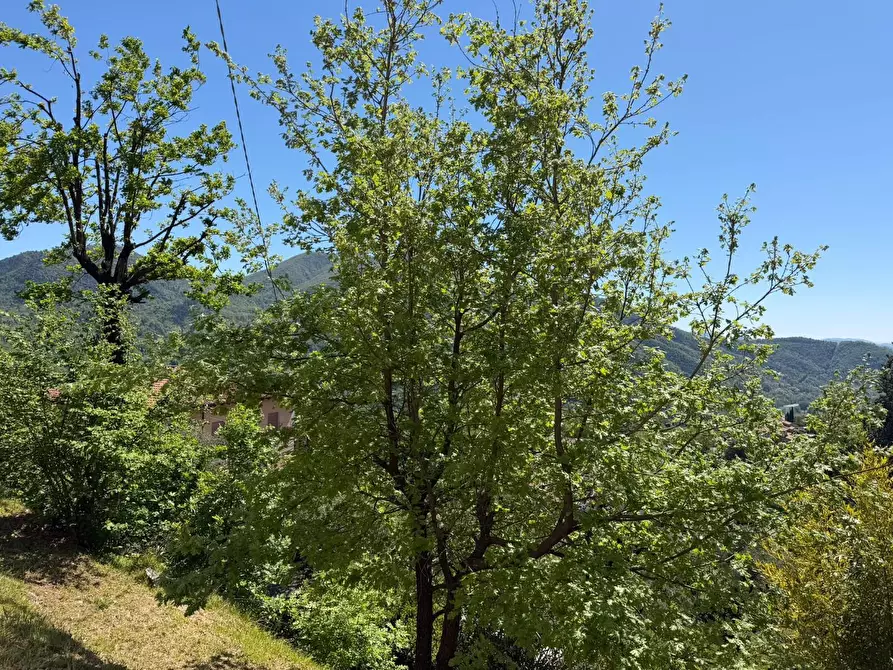 Immagine 31 di Casa indipendente in vendita  a Podenzana