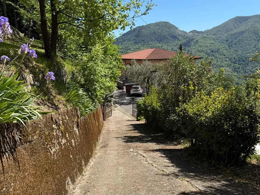 Immagine 35 di Casa indipendente in vendita  a Podenzana
