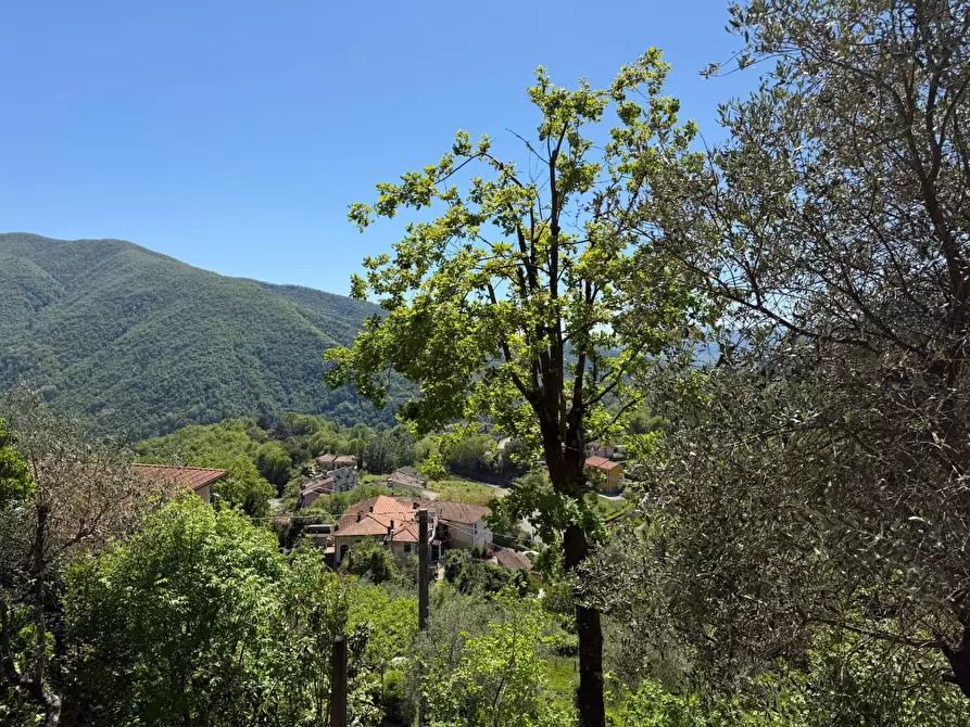 Immagine 25 di Casa indipendente in vendita  a Podenzana