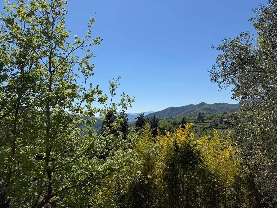 Immagine 30 di Casa indipendente in vendita  a Podenzana