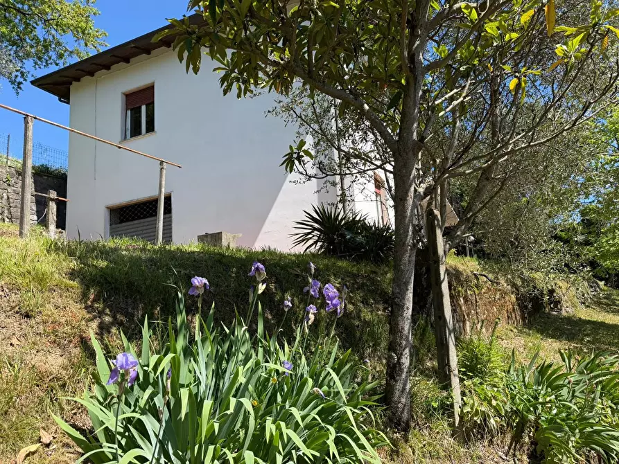Immagine 32 di Casa indipendente in vendita  a Podenzana