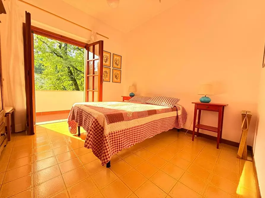 Immagine 34 di Casa bifamiliare in vendita  a Massa