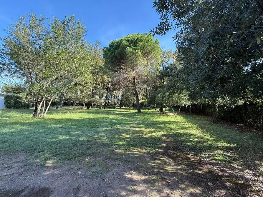 Immagine 28 di Casa bifamiliare in vendita  a Massa